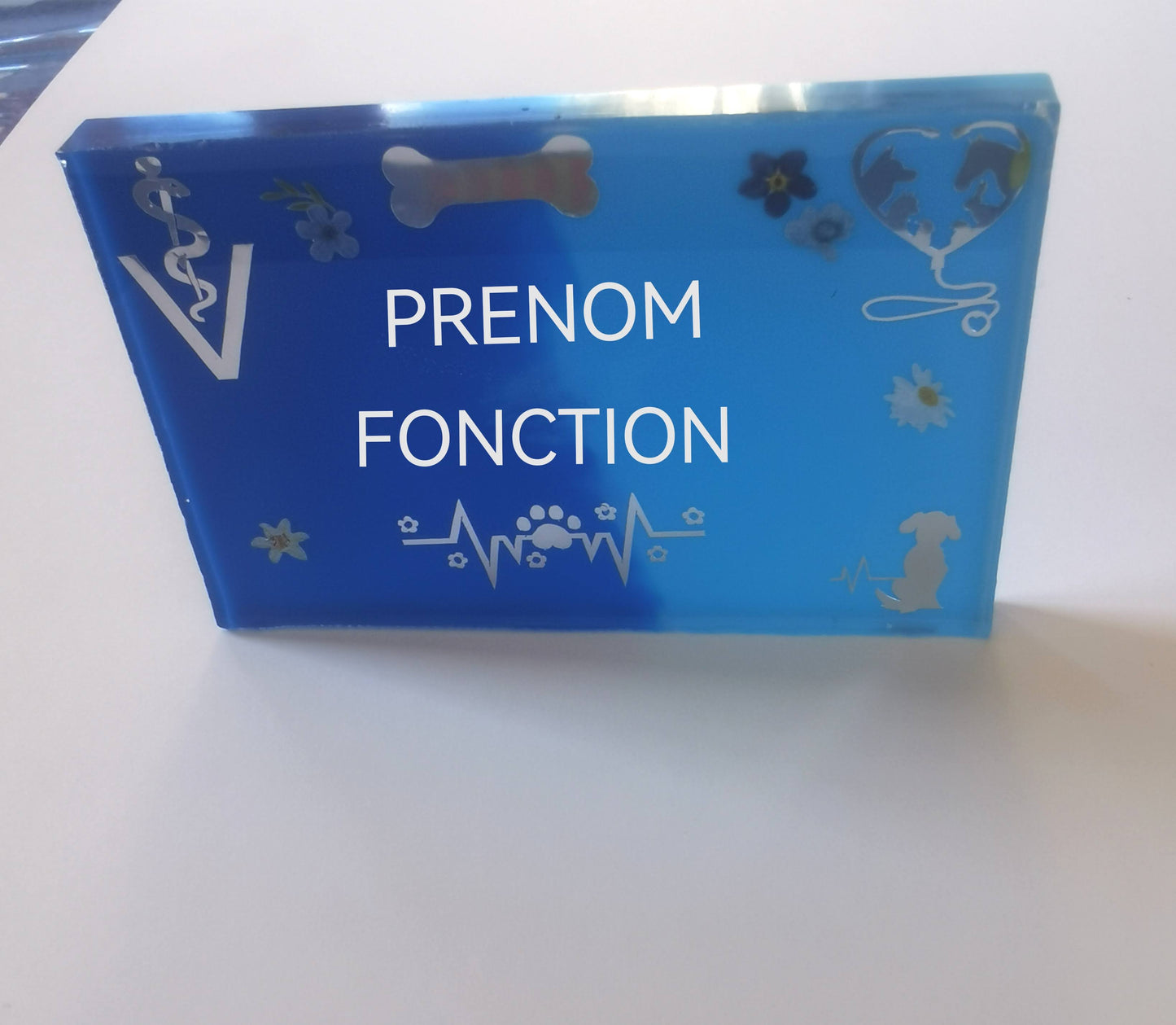 Badge prénom métier personnalisable en résine – bleu et argent - thème vétérinaire